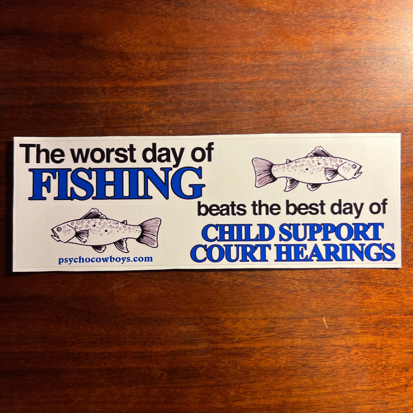 Worst Day of Fishing beats the best day of Child Support Court Hearings funny bumper sticker
