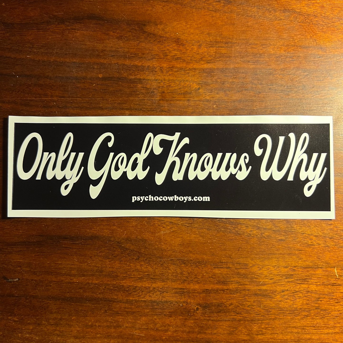 Only God Knows Why Kid Rock Bumper Sticker