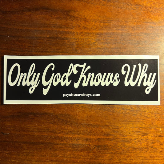 Only God Knows Why Kid Rock Bumper Sticker
