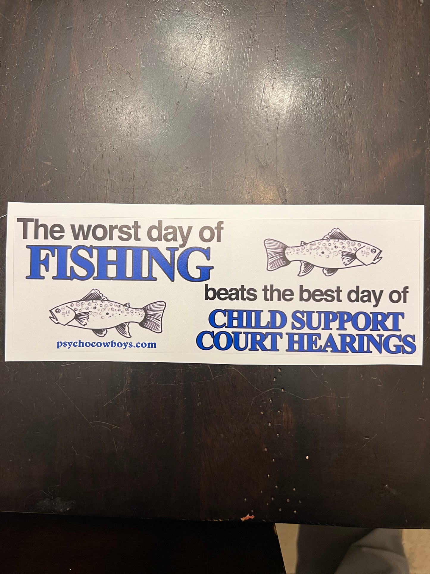 Worst Day of Fishing beats the best day of Child Support Court Hearings funny bumper sticker