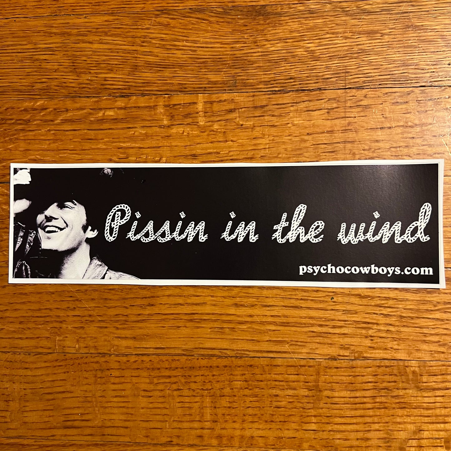 Jerry Jeff Walker Pissin In The Wind Bumper Sticker