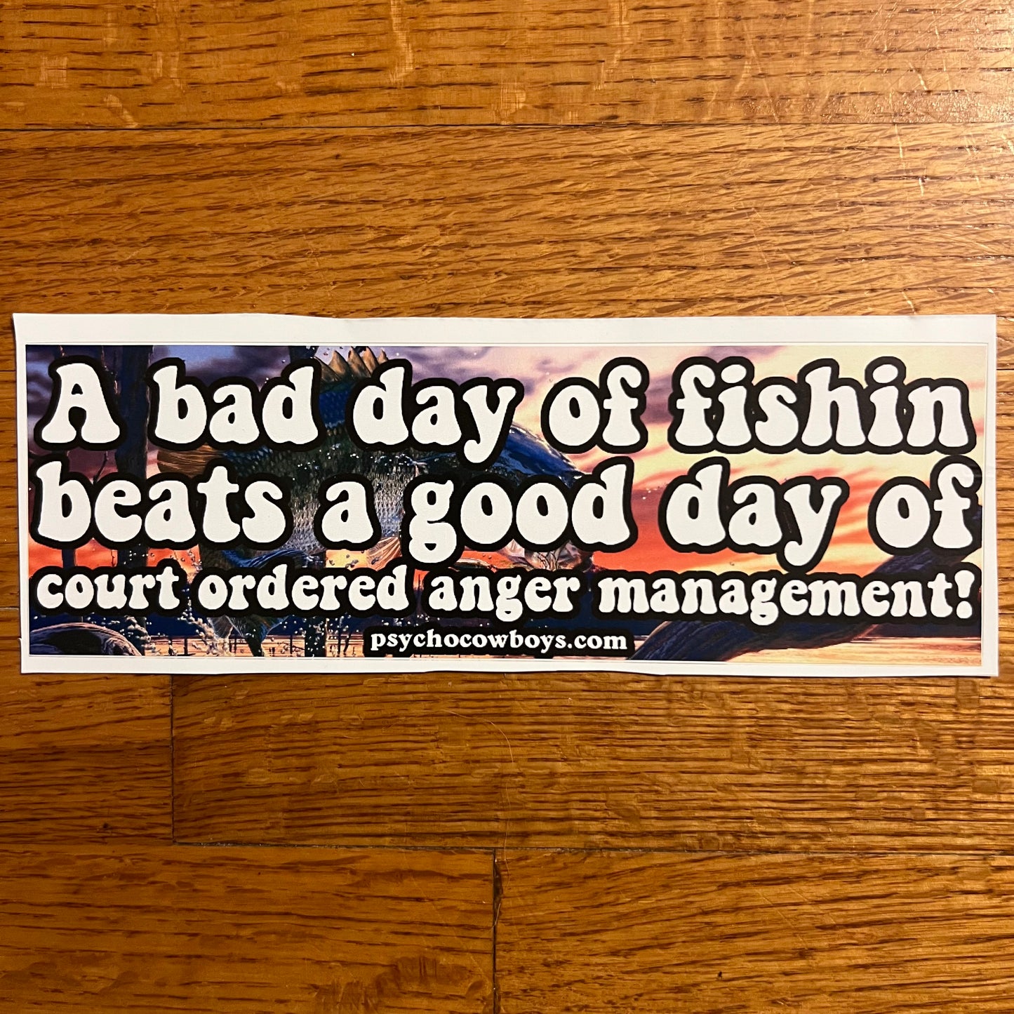 Bad Day of Fishin Court Ordered Anger Management Funny Bumper Sticker