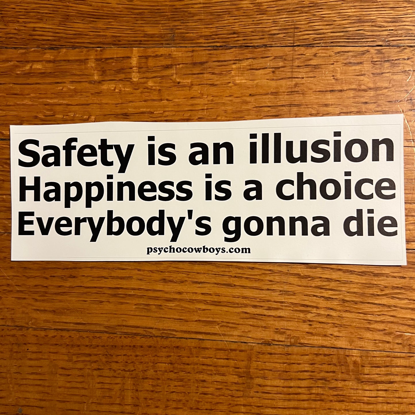 Safety is an illusion happiness is a choice everybody's gonna die Bumper Sticker