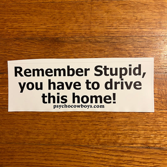 Remember Stupid, you have to drive this home! Dashboard Bumper Sticker