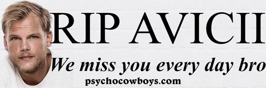 RIP Avicii We Miss You Every Day Bro House Music Bumper Sticker